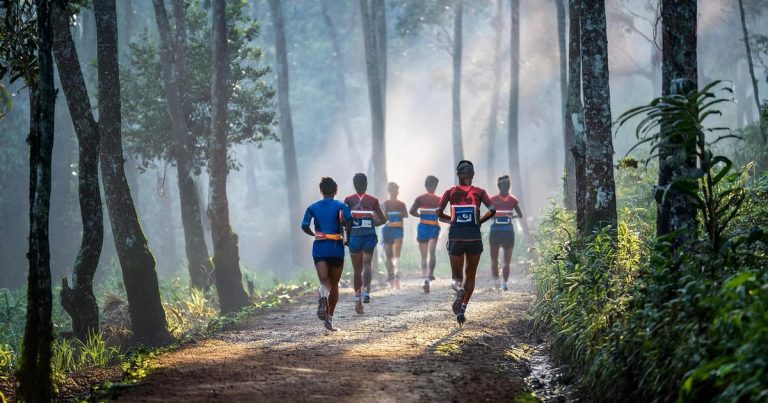 Group of runners training together on a foggy forest trail